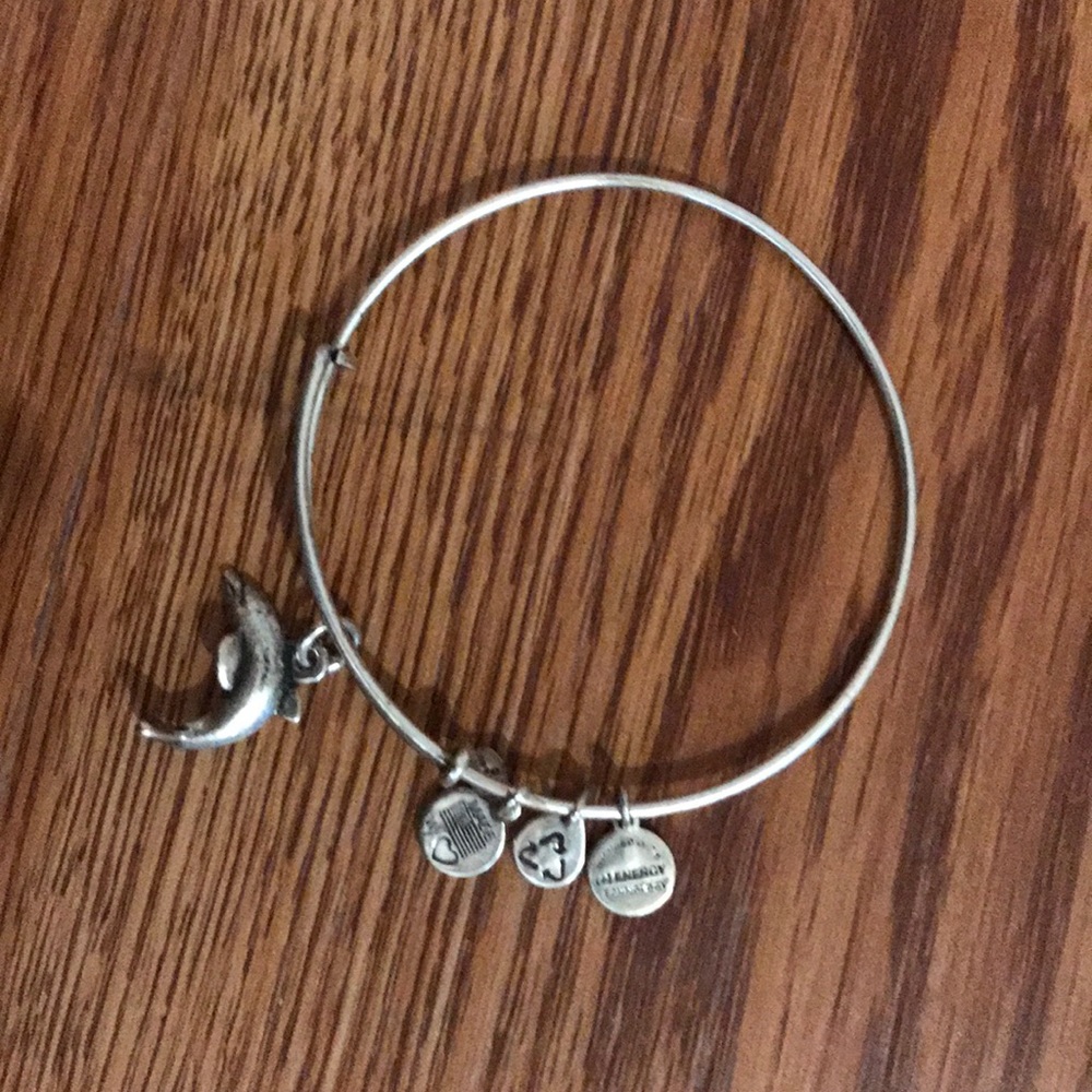 Alex and Ani Dolphin Energy Bracelet